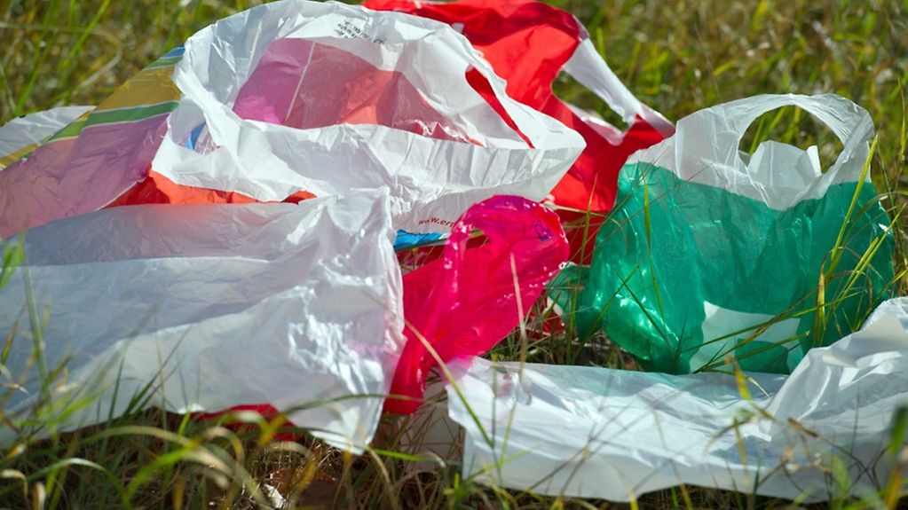 Weggeworfene Plastiktüten liegen im Gras.