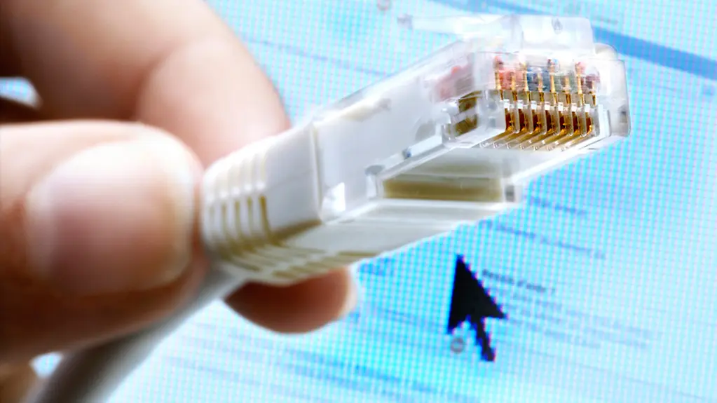 Netzwerkkabel.