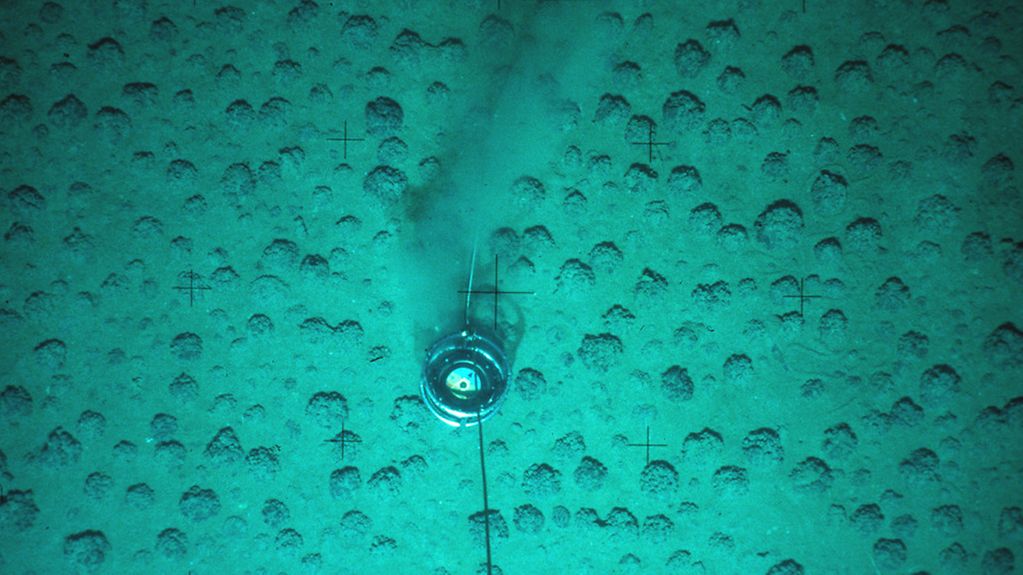 Manganknollenfeld im Pazifik: Ein Manganknollenfeld in rund 4000 Meter Tiefe. Der Meeresboden ist übersät mit den kartoffelgroßen Metallklumpen.