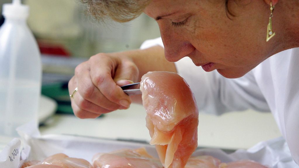 Mitarbeiterin eines Veterinäruntersuchungsamt überprüft Hähnchenbrustfilet.