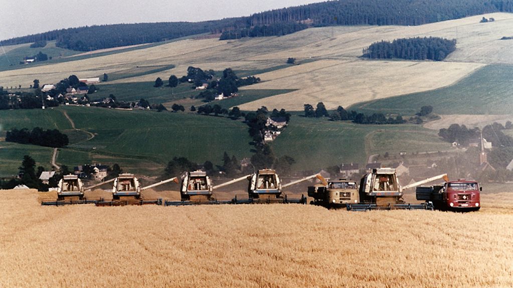 DDR Landwirtschaft Ernte der Wintergerste bei der LPG 'Am Katzenstein' an den Haengen des Erzgebirges