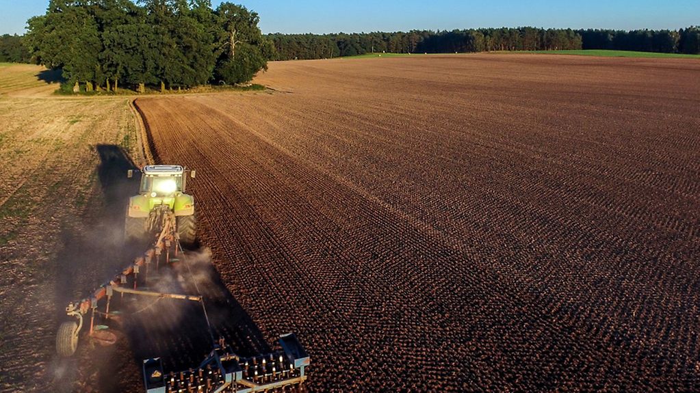 Traktor pflügt den Ackerboden eines Feldes um.