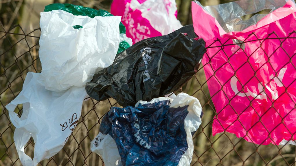 Viele weggeworfene Plastiktüten haben sich durch den Wind in einem Zaun verfangen.