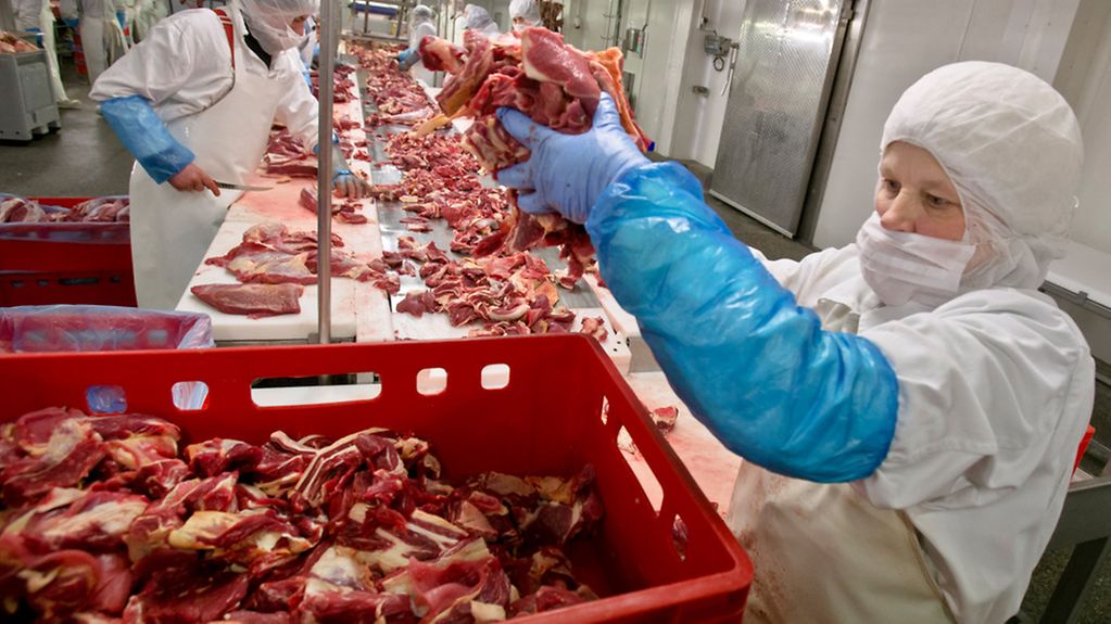 Fleischer legt zerteilte Fleischstücke in einen Kasten