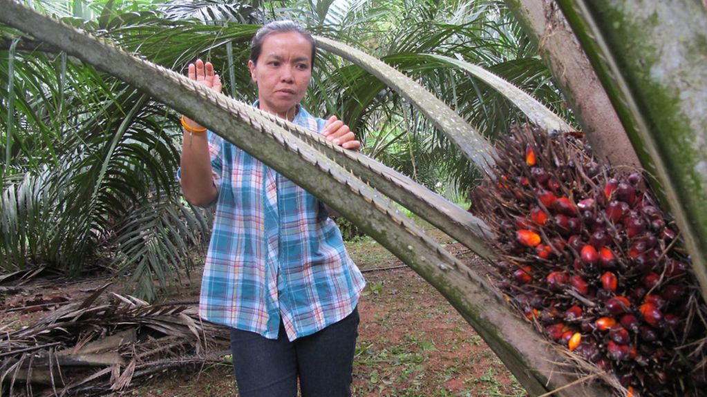 Bäuerin Chirawan Phongrat hat in Playpraya in der Provinz Krabi am Golf von Thailand eine Palmölplantage.