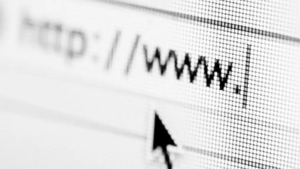 Suche im Internet