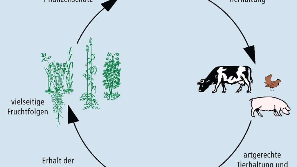 Grafik Ökologischer Landbau