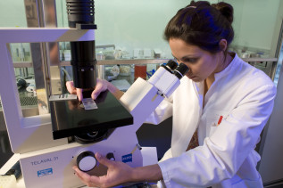 Eine Frau im Laborkittel schaut durch ein großes Mikroskop.